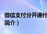 微信支付分开通什么意思（开通微信支付分的简介）