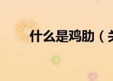 什么是鸡肋（关于鸡肋的意思介绍）