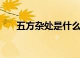 五方杂处是什么意思（五方杂处含义）