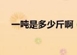 一吨是多少斤啊（一吨换算成多少公斤）