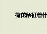 荷花象征着什么（荷花象征意义）