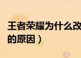 王者荣耀为什么改不了名字（王者改不了名字的原因）