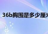 36b胸围是多少厘米（内衣36b胸围是多少）