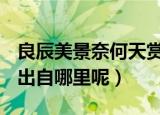 良辰美景奈何天赏心乐事谁家院是什么意思（出自哪里呢）