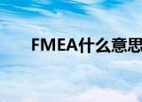 FMEA什么意思（FMEA的含义介绍）