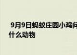  9月9日蚂蚁庄园小鸡问题：公益周期间上线的保护地里有什么动物