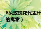 6朵玫瑰花代表什么意思是什么（6朵玫瑰花的寓意）