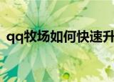 qq牧场如何快速升级（qq牧场怎样升级快）