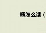孵怎么读（孵的拼音及组词）