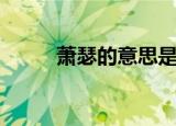 萧瑟的意思是什么（萧瑟的含义）