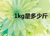 1kg是多少斤（1kg相当于多少斤）