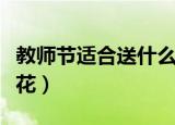 教师节适合送什么花（教师节适合送老师什么花）