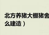 北方养猪大棚猪舍建造（北方养猪大棚猪舍怎么建造）