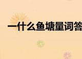 一什么鱼塘量词答案（一什么鱼塘填量词）