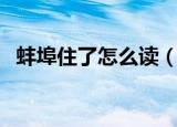 蚌埠住了怎么读（蚌埠住了的读音和解释）
