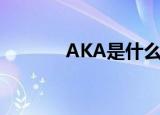 AKA是什么梗（AKA的意思）