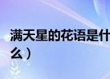 满天星的花语是什么意思（满天星的花语是什么）