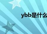 ybb是什么意思（ybb介绍）