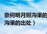 奈何明月照沟渠的上一句是什么（奈何明月照沟渠的出处）