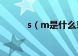 s（m是什么意思 s m代表什么）