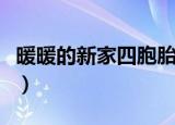 暖暖的新家四胞胎是哪一期（暖暖的新家简介）