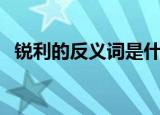 锐利的反义词是什么（大家可以了解一下）