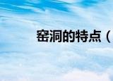 窑洞的特点（窑洞的特点是什么）