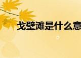 戈壁滩是什么意思（戈壁滩意思简述）