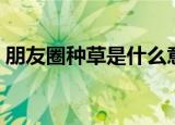 朋友圈种草是什么意思（朋友圈种草的意思）