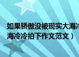 如果骄傲没被现实大海冷冷拍下作文（如果骄傲没被现实大海冷冷拍下作文范文）