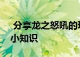  分享龙之怒吼的玩法及龙之怒吼的一些游戏小知识