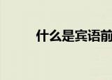 什么是宾语前置（宾语前置解释）