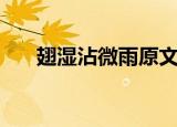 翅湿沾微雨原文（迎燕的原文和赏析）