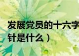 发展党员的十六字方针（发展党员的十六字方针是什么）