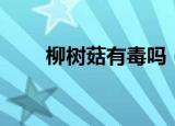 柳树菇有毒吗（柳树菇的简单介绍）