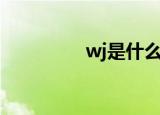 wj是什么意思（wj解释）