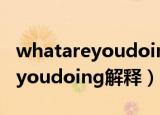 whatareyoudoing什么意思中文（whatareyoudoing解释）