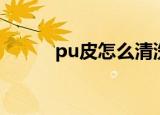 pu皮怎么清洗（如何清洗pu皮）
