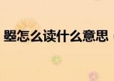 曌怎么读什么意思（曌怎么读什么意思详解）