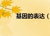 基因的表达（基因的表达是什么）
