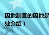 因地制宜的因地是什么意思（因地制宜词语出处介绍）
