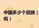 中国多少个民族（我国共有多少个民族你了解吗）