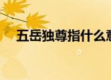 五岳独尊指什么意思（五岳独尊的简介）