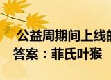  公益周期间上线的保护地里有什么动物 正确答案：菲氏叶猴