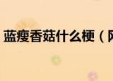 蓝瘦香菇什么梗（网络语蓝瘦香菇什么意思）