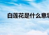 白莲花是什么意思啊（白莲花意思简述）