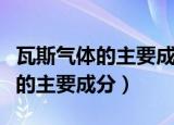 瓦斯气体的主要成分是什么（什么是瓦斯气体的主要成分）