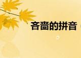 吝啬的拼音（吝啬的拼音简述）