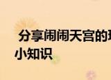  分享闹闹天宫的玩法及闹闹天宫的一些游戏小知识