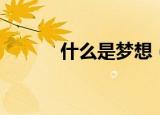 什么是梦想（梦想是什么意思）